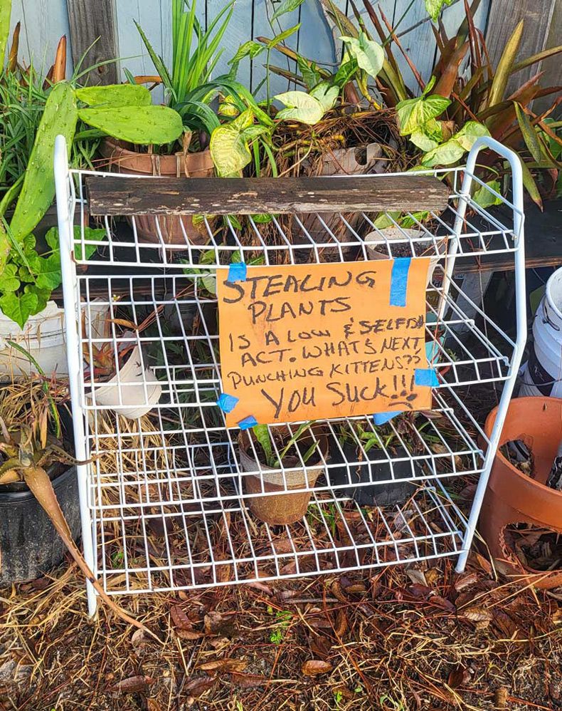 Gewoon een verzameling hilarische foto's #1693