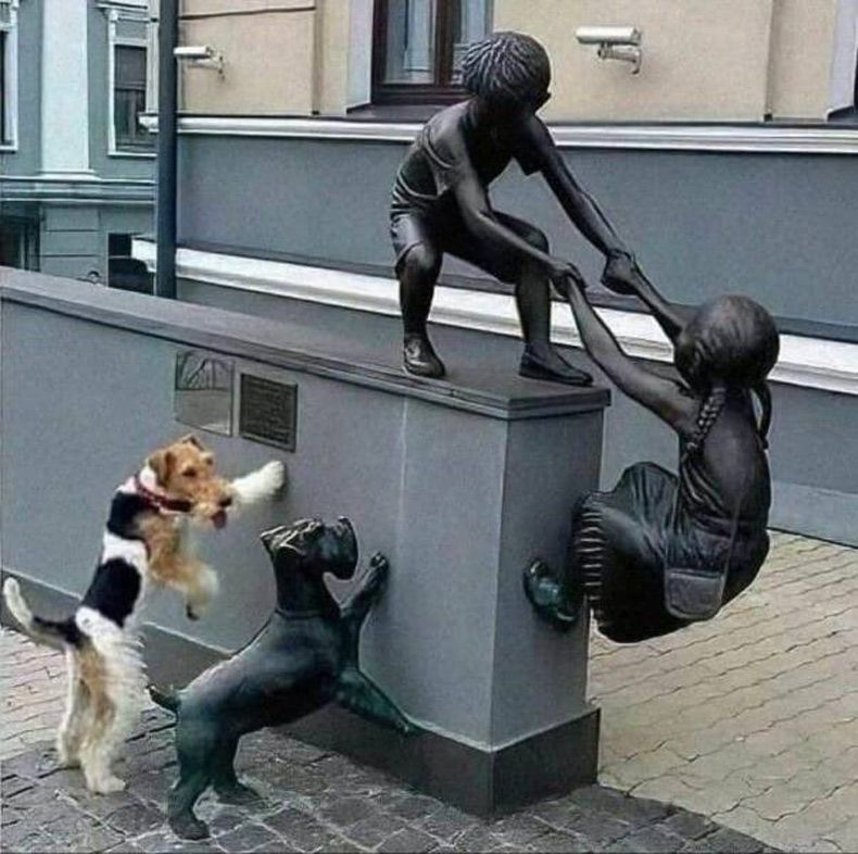 Gewoon een verzameling hilarische foto's #1694