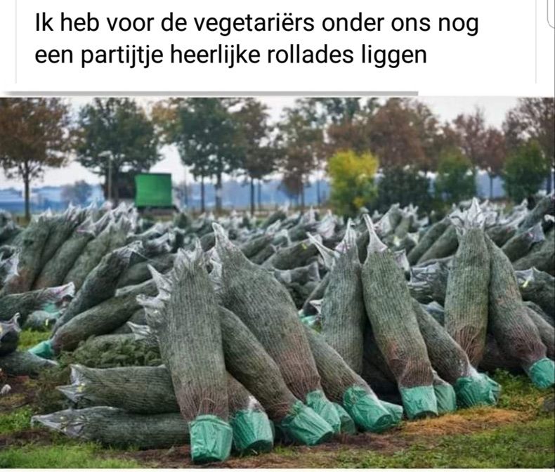 Gewoon een verzameling hilarische foto's #1694