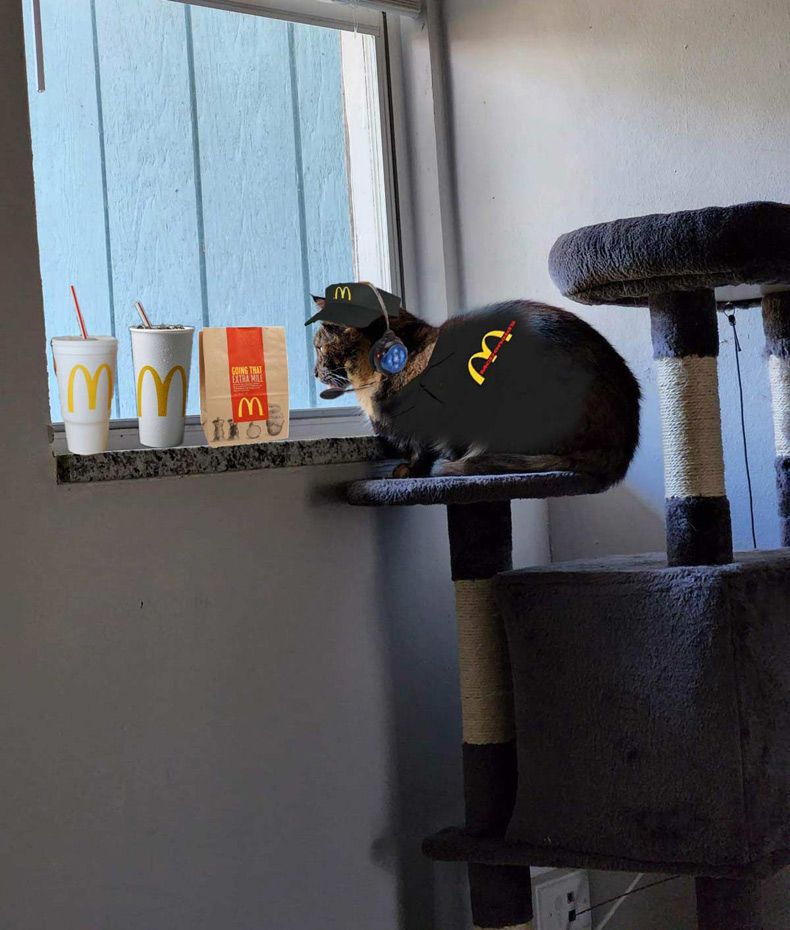 Gewoon een verzameling hilarische foto's #1706