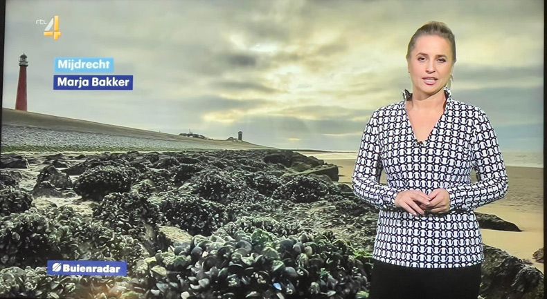 Gewoon een verzameling hilarische foto's #1707