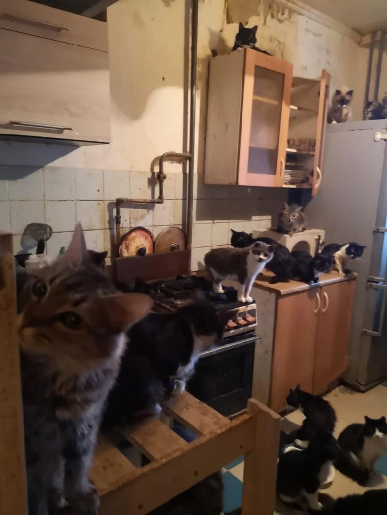 Gewoon een verzameling hilarische foto's #1708