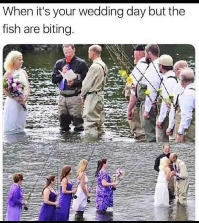 Gewoon een verzameling hilarische foto's #1709