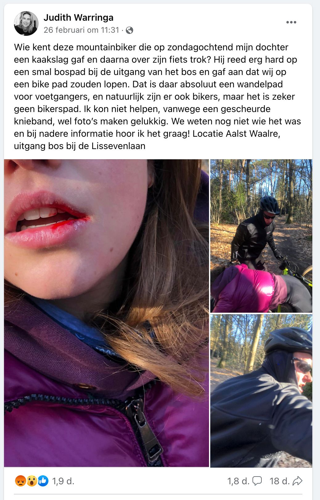Mountainbiker geeft meisje een kaakslag op bospad in Waalre