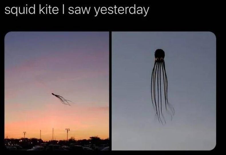 Gewoon een verzameling hilarische foto's #1710