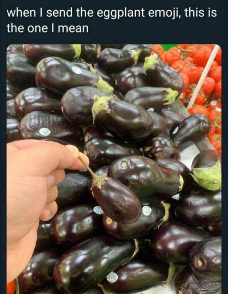 Gewoon een verzameling hilarische foto's #1710