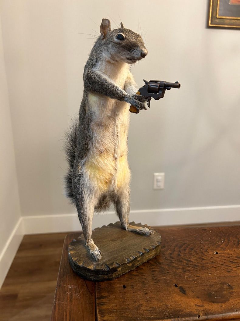 Gewoon een verzameling hilarische foto's #1710