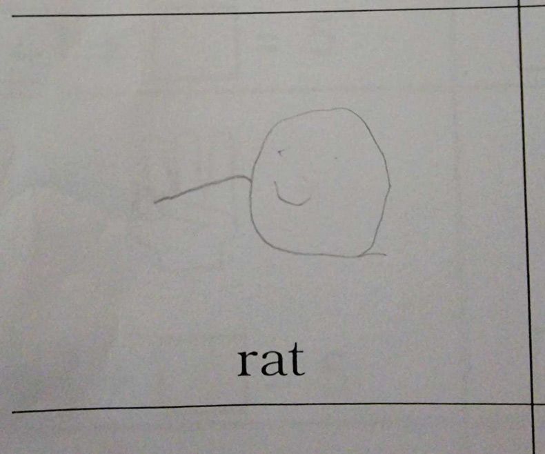 Gewoon een verzameling hilarische foto's #1710