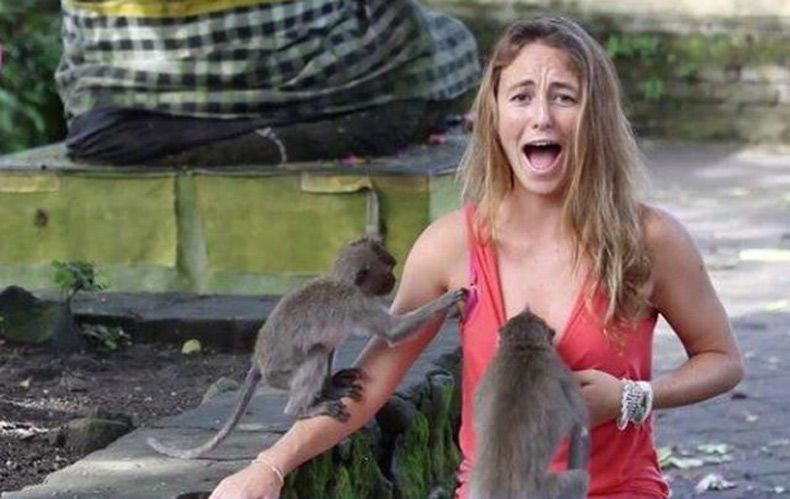 Gewoon een verzameling hilarische foto's #1712