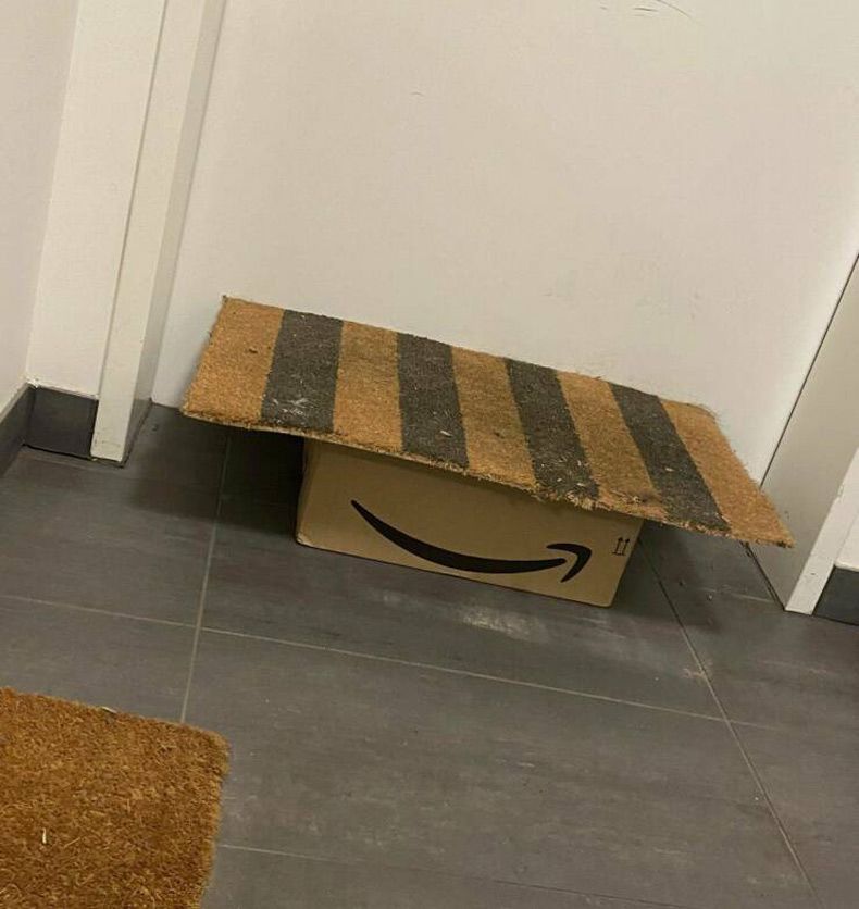 Gewoon een verzameling hilarische foto's #1712