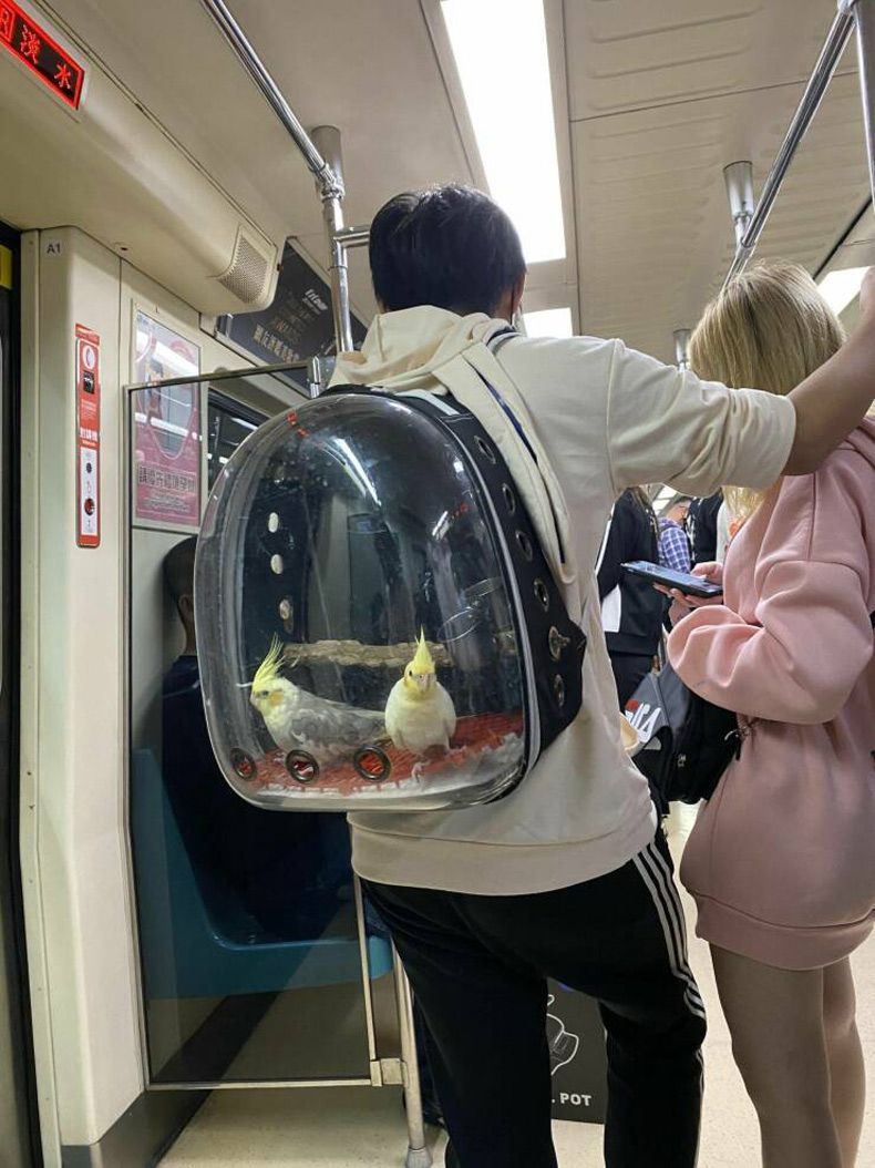 Gewoon een verzameling hilarische foto's #1712