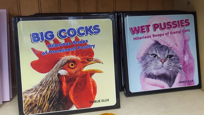 Gewoon een verzameling hilarische foto's #1712