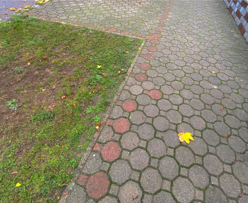 Gewoon een verzameling hilarische foto's #1712