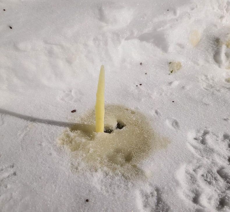 Gewoon een verzameling hilarische foto's #1712