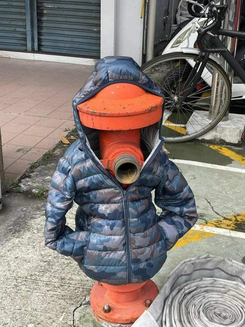 Gewoon een verzameling hilarische foto's #1713