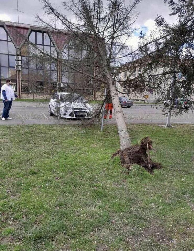 Gewoon een verzameling hilarische foto's #1713