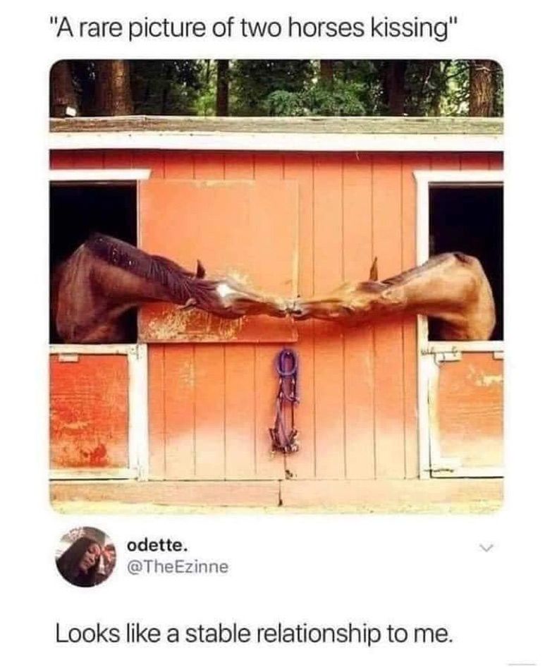 Gewoon een verzameling hilarische foto's #1713