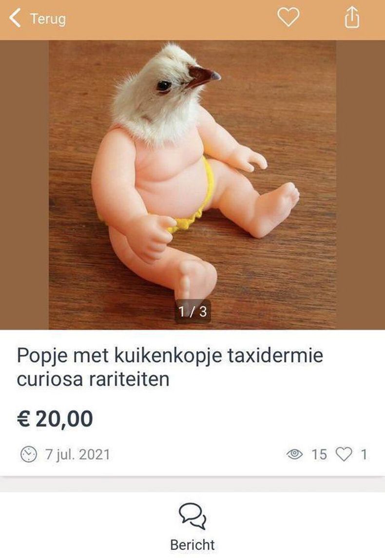 Gewoon een verzameling hilarische foto's #1713