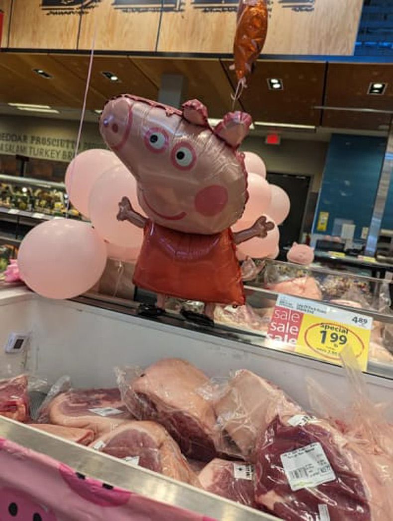 Gewoon een verzameling hilarische foto's #1713