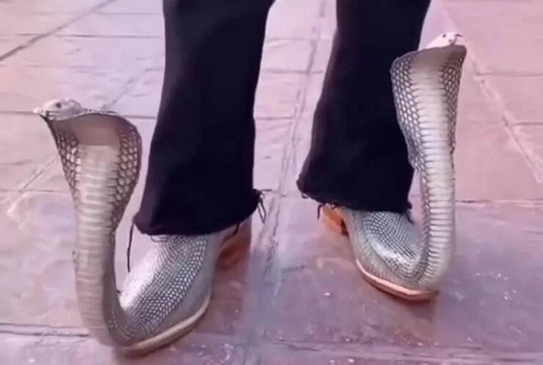 Gewoon een verzameling hilarische foto's #1718