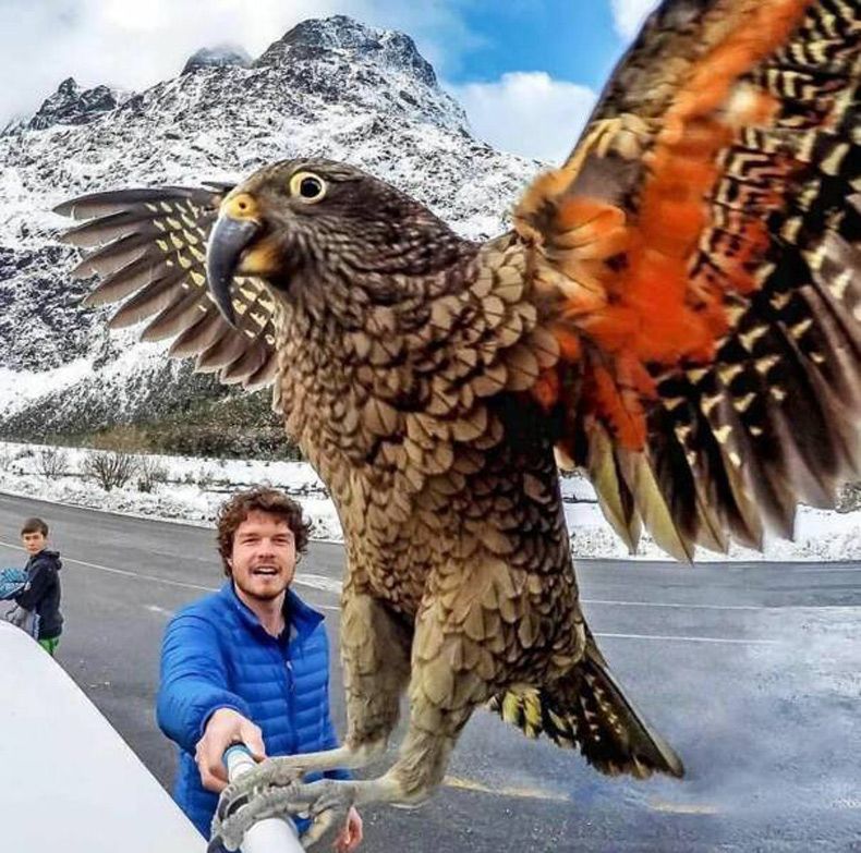 Gewoon een verzameling hilarische foto's #1718