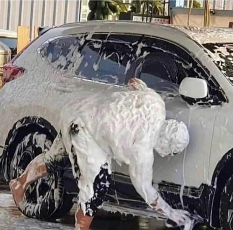 Gewoon een verzameling hilarische foto's #1718