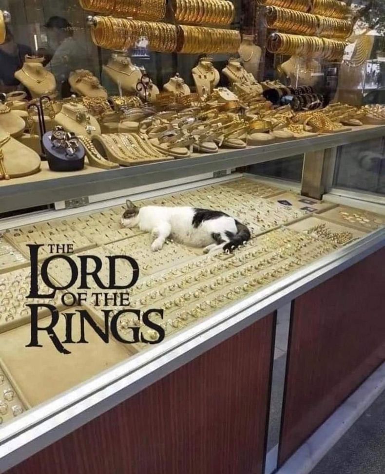 Gewoon een verzameling hilarische foto's #1720