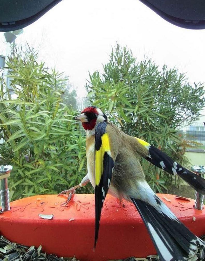Gewoon een verzameling hilarische foto's #1720