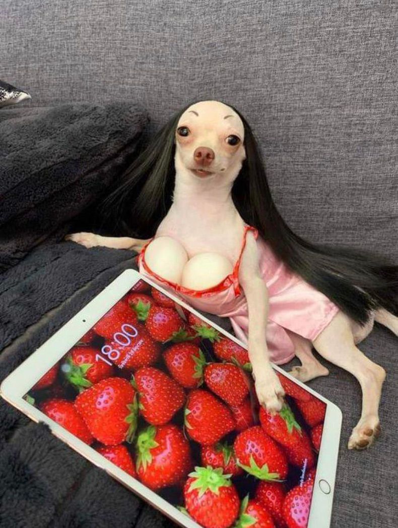 Gewoon een verzameling hilarische foto's #1721