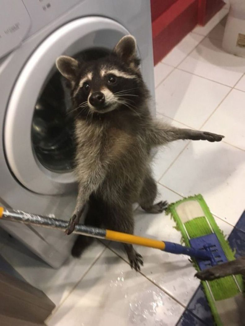 Gewoon een verzameling hilarische foto's #1721