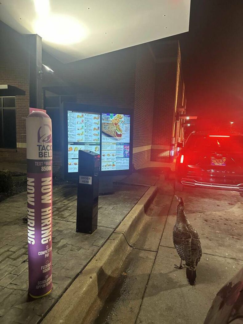 Gewoon een verzameling hilarische foto's #1721