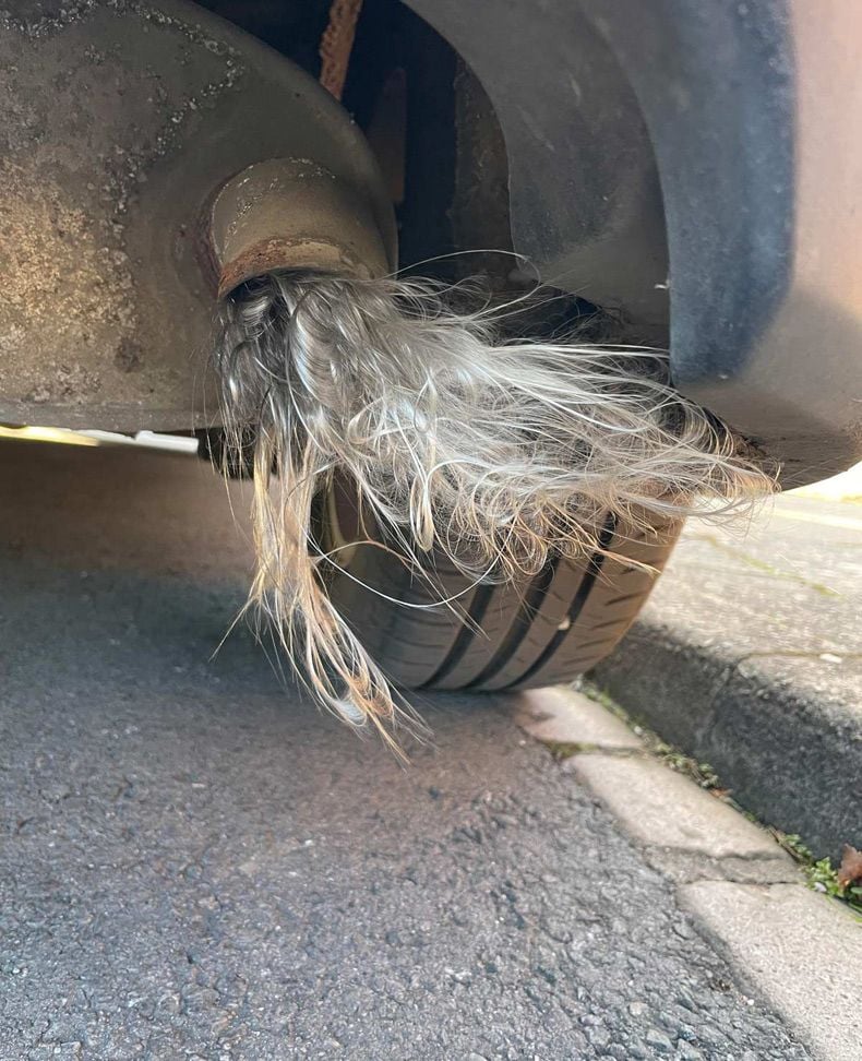 Gewoon een verzameling hilarische foto's #1721