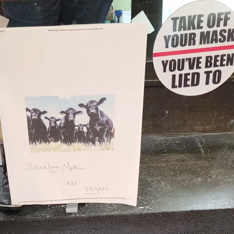 Gewoon een verzameling hilarische foto's #1721
