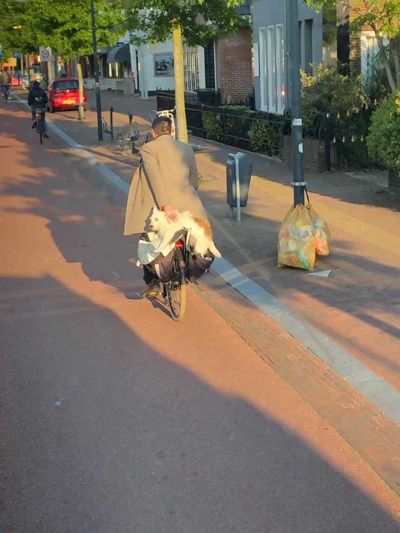 Gewoon een verzameling hilarische foto's #1721