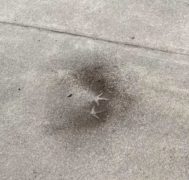 Gewoon een verzameling hilarische foto's #1722