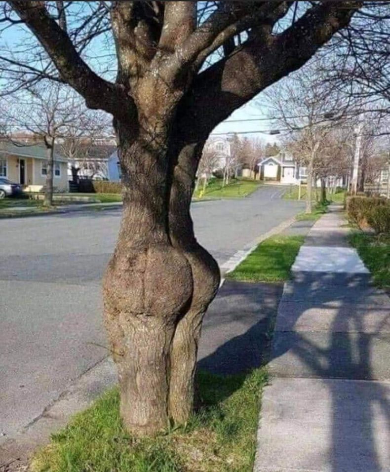 Gewoon een verzameling hilarische foto's #1722
