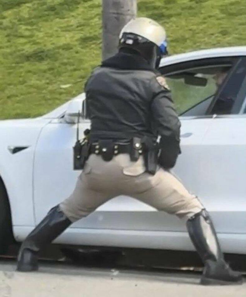 Gewoon een verzameling hilarische foto's #1725
