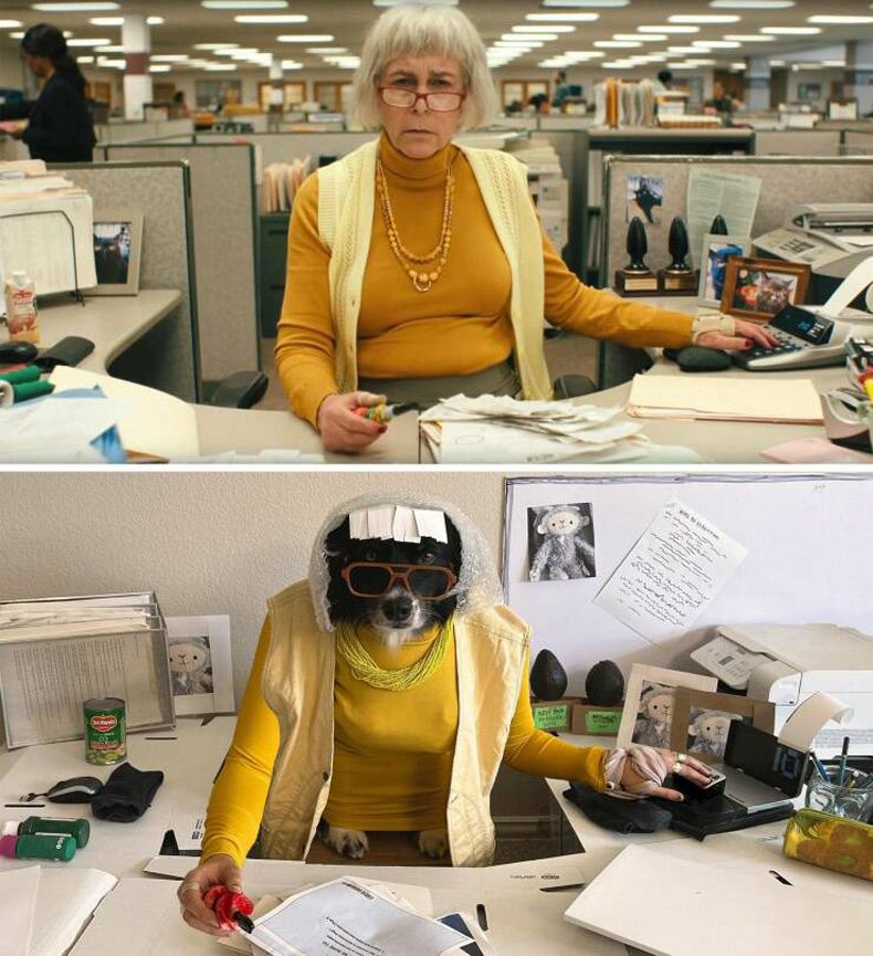 Gewoon een verzameling hilarische foto's #1725