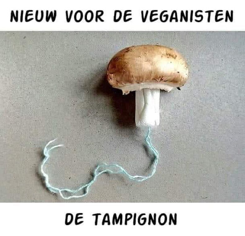 Gewoon een verzameling hilarische foto's #1725