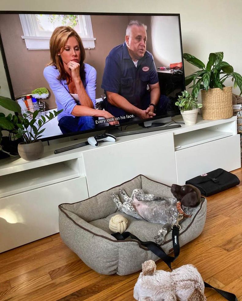 Gewoon een verzameling hilarische foto's #1725