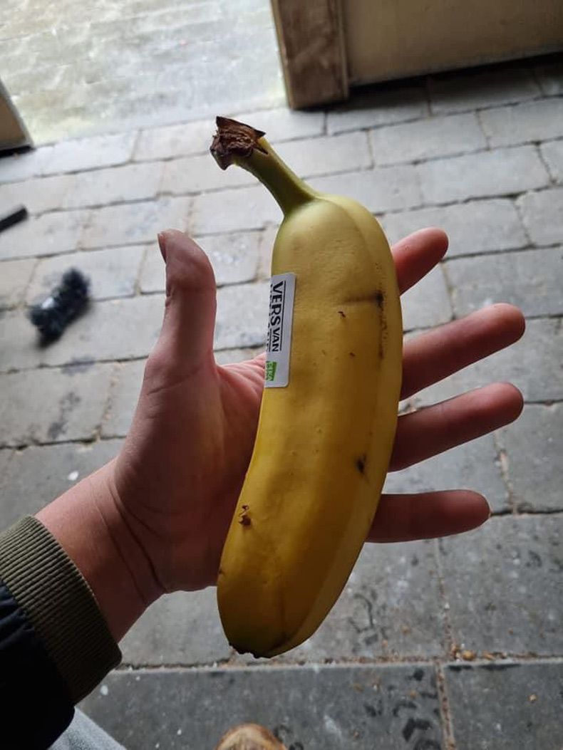 Gewoon een verzameling hilarische foto's #1726