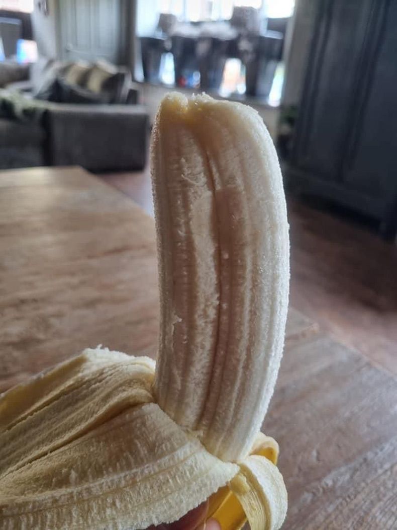 Gewoon een verzameling hilarische foto's #1726