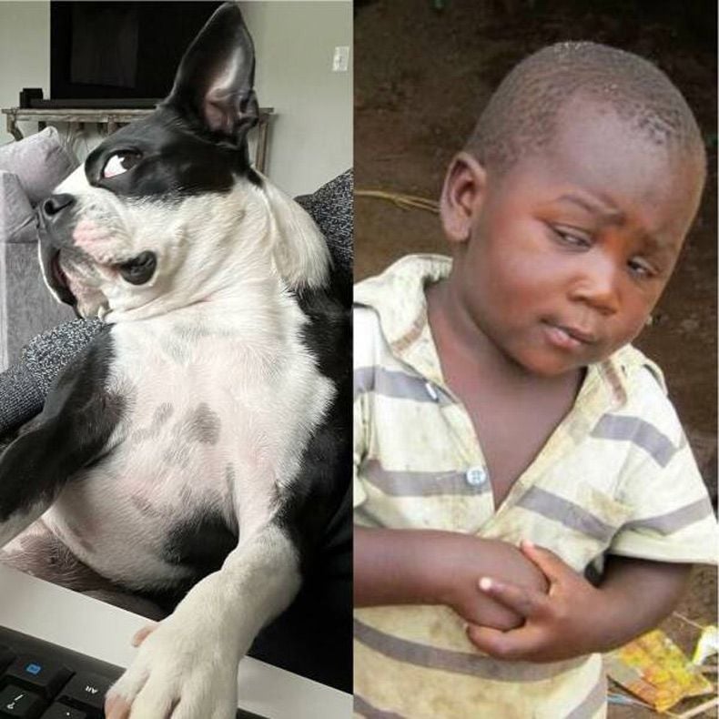 Gewoon een verzameling hilarische foto's #1727