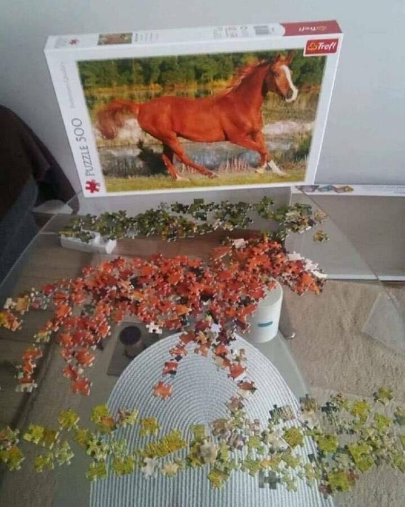 Gewoon een verzameling hilarische foto's #1727