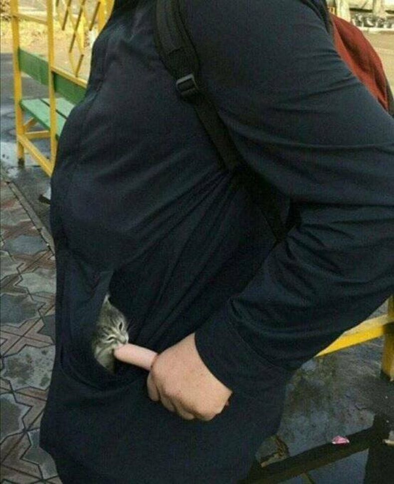 Gewoon een verzameling hilarische foto's #1727