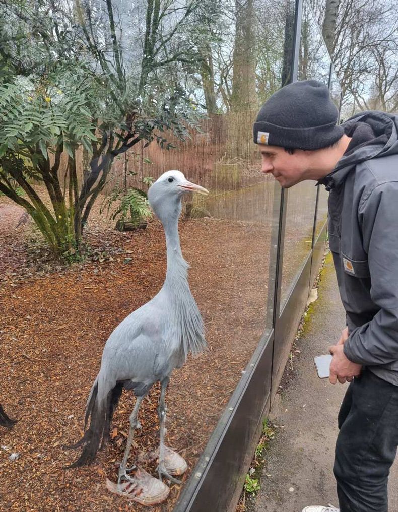 Gewoon een verzameling hilarische foto's #1727