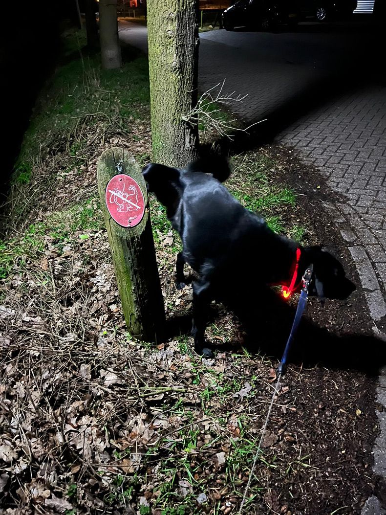 Gewoon een verzameling hilarische foto's #1727