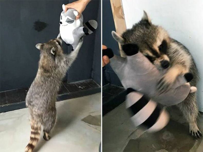 Gewoon een verzameling hilarische foto's #1728