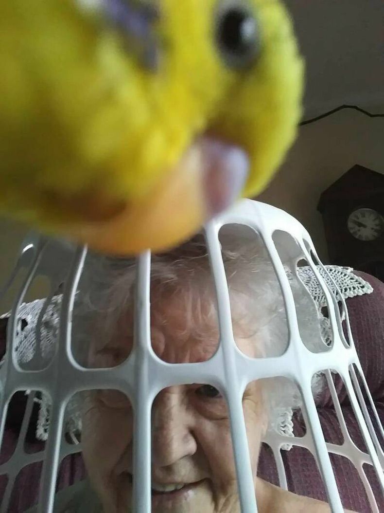 Gewoon een verzameling hilarische foto's #1728