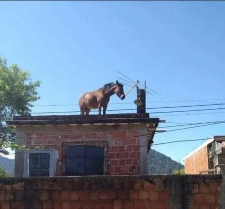 Gewoon een verzameling hilarische foto's #1728